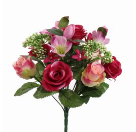DOGWOOD ROSE X13 BUSH 34CM BEAUTY