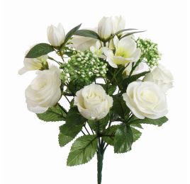 DOGWOOD ROSE X13 BUSH 34CM CREAM