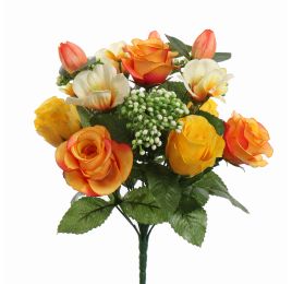 DOGWOOD ROSE X13 BUSH 34CM ORANGE