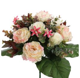 PEONY ROSE X24 BUSH 38CM PEACH