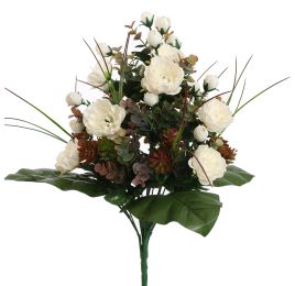 PEONY AGAVE X22 BUSH 50CM CREAM