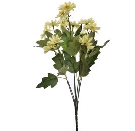 MINI DAISY BUSH 35CM GREEN