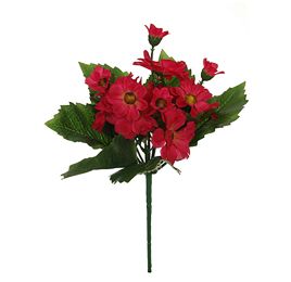 JAPANESE DAISY BUSH 24CM BEAUTY
