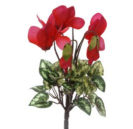 CYCLAMEN BUSH X 7 23CM RED