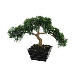 SMALL BONSAI IN POT 22CM BONSAI