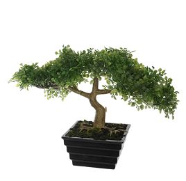 SMALL BONSAI IN POT 22CM TEA LEAVES