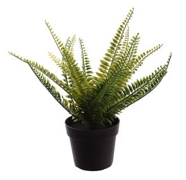 SMALL FERN IN POT 27CM GREEN