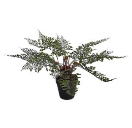 FERN 38 CM IN POT 38CM GREEN