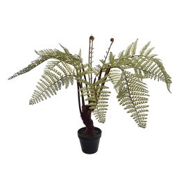 FERN PLANT 71CM IN POT GREEN