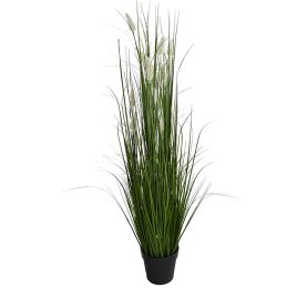 GRASS W/FOXTAIL IN POT H 135 CM GREEN