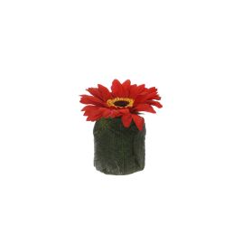 GERBERA HEAD ON LEAVES POT 8CM RED