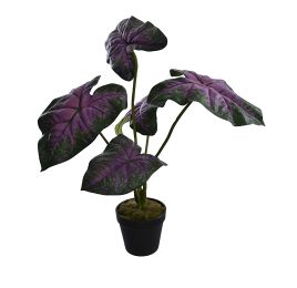 MEDIUM PLANT W/5 LEAVES IN POT 55CM LAVENDER GREEN