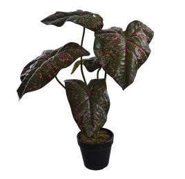 MEDIUM PLANT W/5 LEAVES IN POT 55CM PINK GREEN