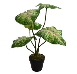 MEDIUM PLANT W/5 LEAVES IN POT 55CM YELLOW GREEN