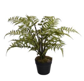 PLASTIC FERN IN POT 48CM GREEN