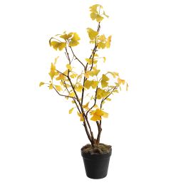 MEDIUM GINGKO PLANT IN POT 64CM YELLOW