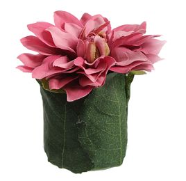DAHLIA LEAF POT 11CM BEAUTY