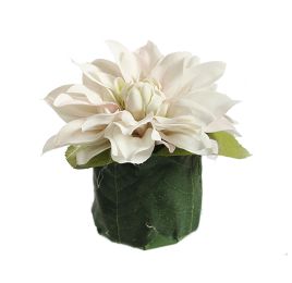 DAHLIA LEAF POT 11CM CREAM