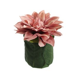DAHLIA LEAF POT 11CM MAUVE
