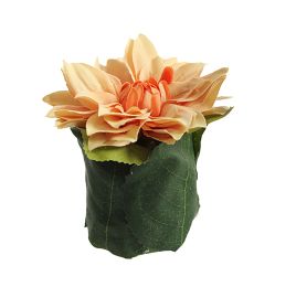 DAHLIA LEAF POT 11CM OCRE