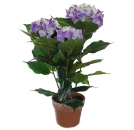 HYDRANGEA IN POT H 61CM BLUE