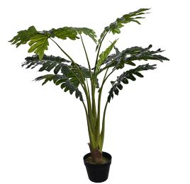 PLANT 90CM IN POT PHILO