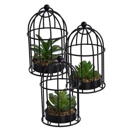 SUCCULENT IN CAGE DIA 10 H 16.5 CM ASSORTED