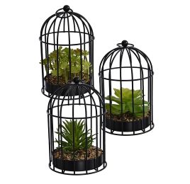 SUCCULENT IN CAGE DIA 11.5 H 20 CM ASSORTED
