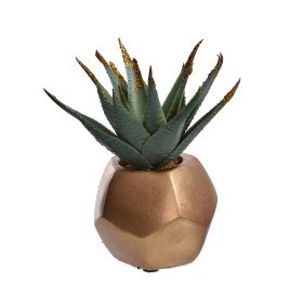 SUCCULENT IN GOLD CEMENT POT 18CM GOLD