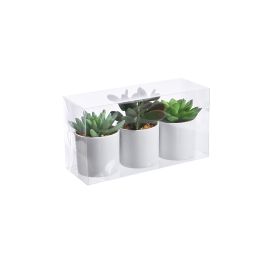 SUCCULENT PLASTIC POT X3 IN GIFTBOX 10CM MIXED