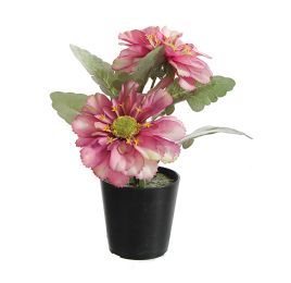 GERBERA X2 IN POT 14CM LAVENDER