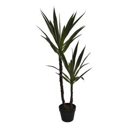 YUCCA TREE X 2 H : 110 cm GREEN