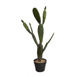 CACTUS IN POT 84CM GREEN