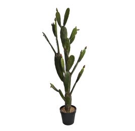 CACTUS IN POT 143CM GREEN