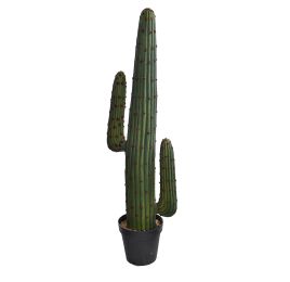 MEXICO CACTUS IN POT 125CM GREEN