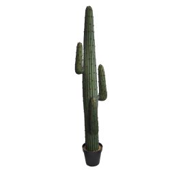 MEXICO CACTUS IN POT 170CM GREEN