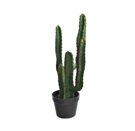 CACTUS W/4 HEADS IN POT 63CM GREEN
