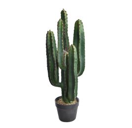 CACTUS W/5 HEADS IN POT 77CM GREEN