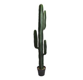 CACTUS W/3 HEADS IN POT 150CM GREEN
