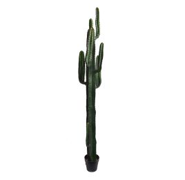 CACTUS W/7 HEADS IN POT 200CM GREEN