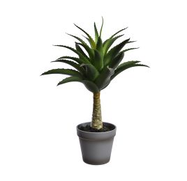 AGAVE IN POT 41CM GREEN