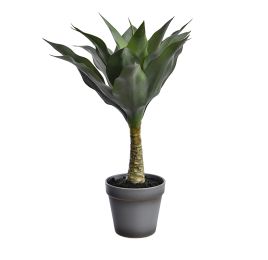 AGAVE IN POT 42CM GREEN