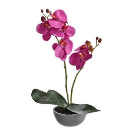 ORCHID X 2 IN PLASTIC POT H 35CM LAVENDER