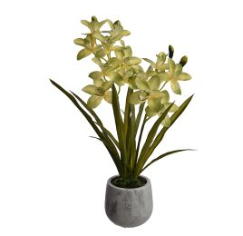 REAL TOUCH CYMBIDIUM X 2 IN POT 69CM GREEN