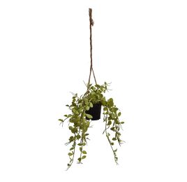 SMALL LEAVES IN HANGING POT LIGHT GREEN