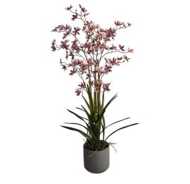 ONCIDIUM ORCHID SPRAY X 6 105CM IN POT