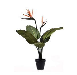 SMALL BIRD PARADISE PALM 6LVS 2FLS 72CM GREEN