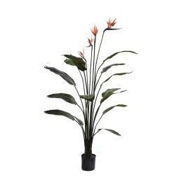 LARGE BIRD PARADISE PALM 14LVS 4FLS 155CM GREEN