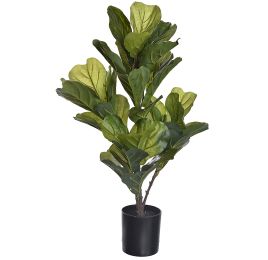 FIDDLE LEAF PLANT IN POT 67CM GREEN