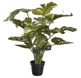PLANT W/14 LVS IN POT SPLIT PHILO 55CM MARBLE